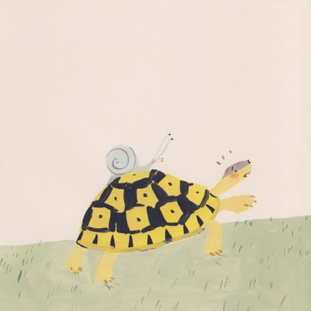 乌龟找到家 · Tortoise Finds His Home